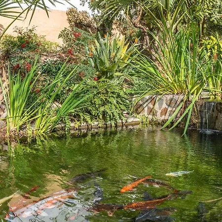 Tanger 3 Oasis Διαμέρισμα *